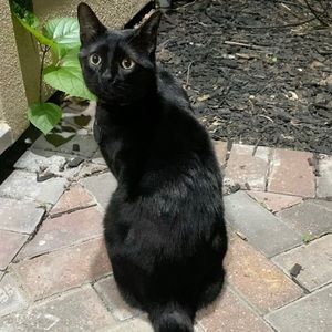 Meet your Posher, Natasha